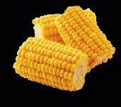 Corn on the Cob